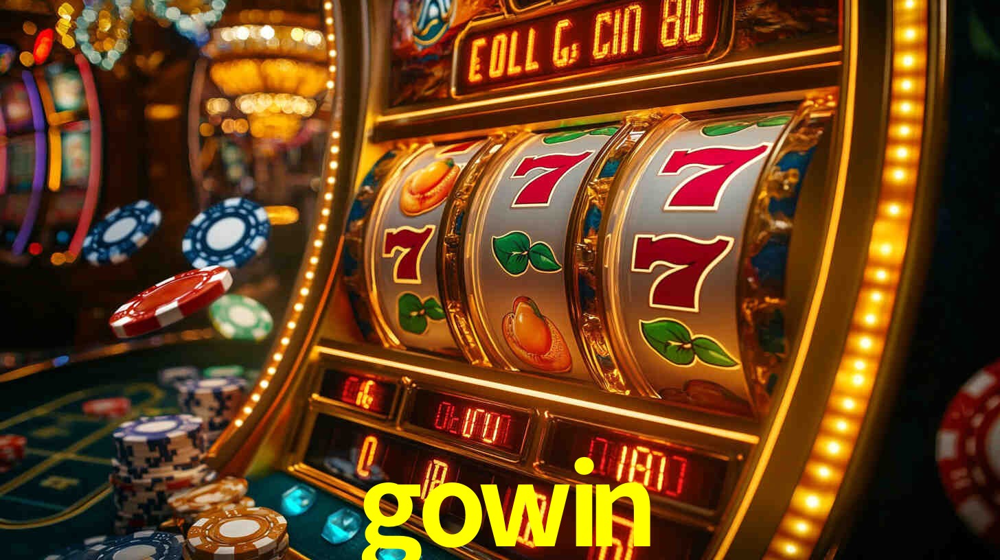 Premium Interface gowin